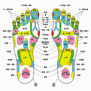 足疗足浴足部穴位图穴位挂图经络图大图 脚底穴位图0.8x0.8米包邮