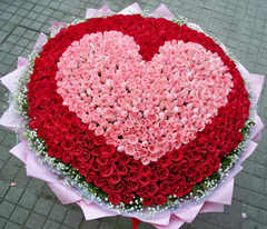 T1gy0tFtFdXXXXXXXX_!!0-item_pic.jpg_240x240q50