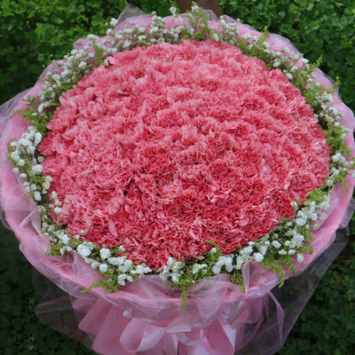 母亲节康乃馨妈妈生日花束鲜花速递全广州越秀白云番禺海珠花店送