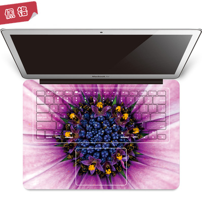 【美丽花蕊】pag佩格 苹果笔记本键盘面保护贴纸膜 macbook c面贴