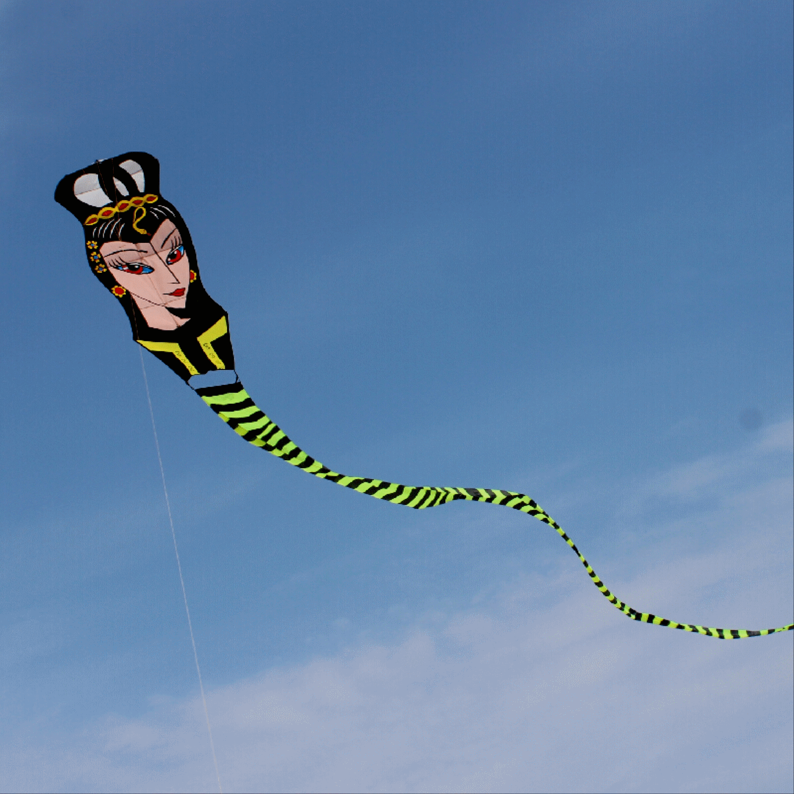 2016新款风筝包邮大型风筝美女蛇30米50米风筝微风可飞 天顺风筝
