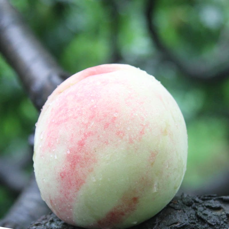 tt娱乐 朴美桃【第一3566975(q)】