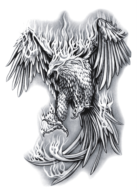雄鹰展翅纹身手稿图片