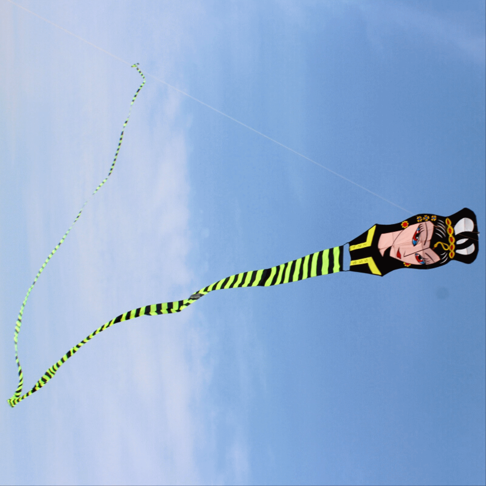 大型风筝美女蛇30米50米风筝微风可飞 天顺风筝2016新款风筝包邮